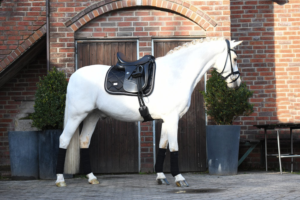 Dressage Saddle Pad Black Edition Cob