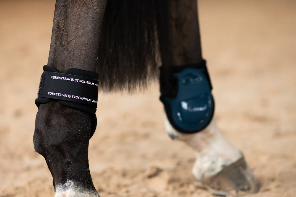 blue-meadow-fetlock-boots-bakskydd-heckschutz-kogelbeschermers-on2