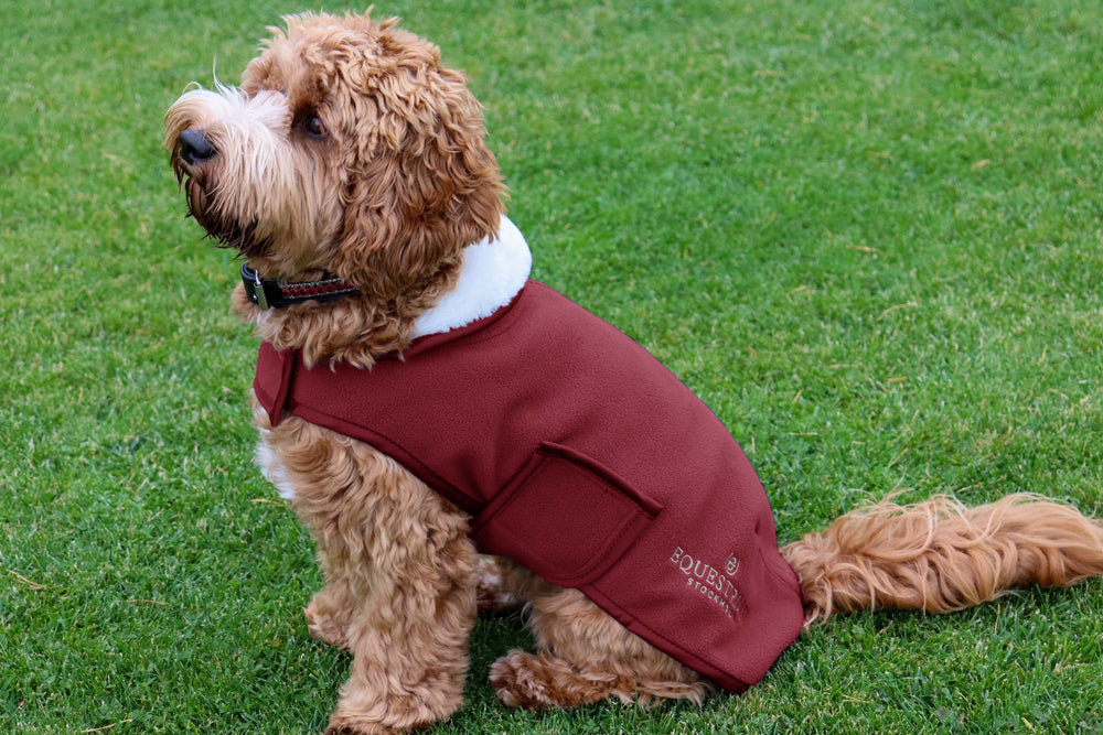 Fleece Dog Rug Bordeaux