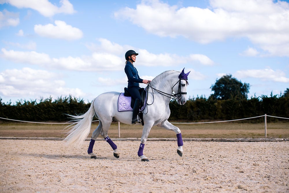 Dressage Saddle Pad Lavender Full