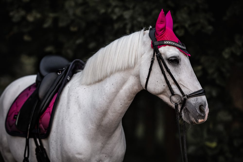 Dressage Saddle Pad Faded Fuchsia Cob