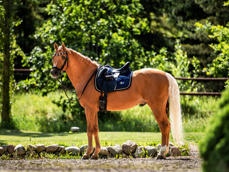Dressage Saddle Pad Sweden Nation navy Cob