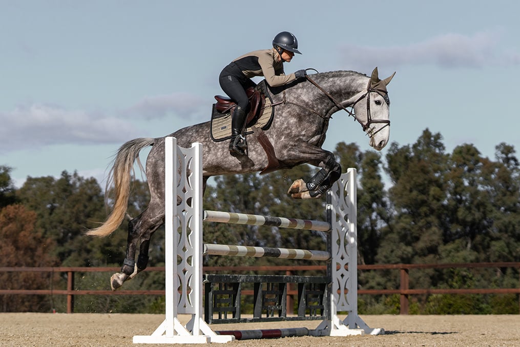Jump Saddle Pad Sportive Chantelle Full