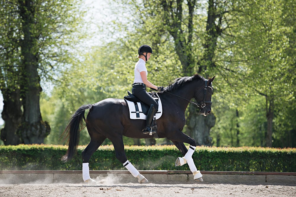 Dressage Saddle Pad No Boundaries White Full