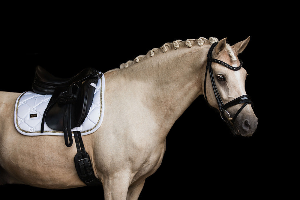 Dressage Saddle Pad White Perfection Gold Cob