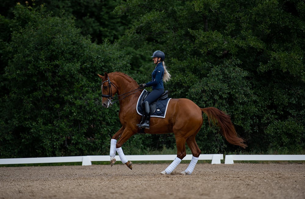 Dressage Saddle Pad Midnight White Edge Full vue 3