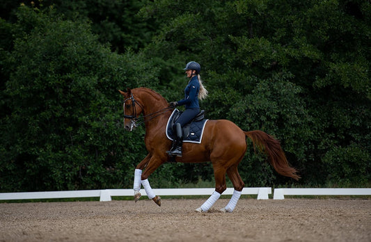 Dressage Saddle Pad Midnight White Edge Full