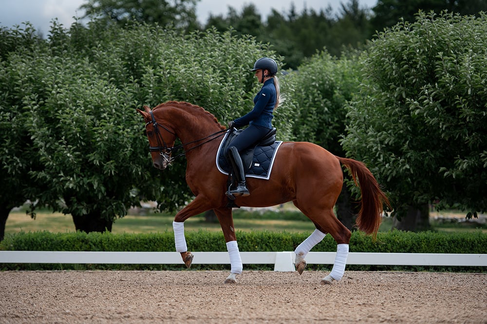 Dressage Saddle Pad Midnight White Edge Full