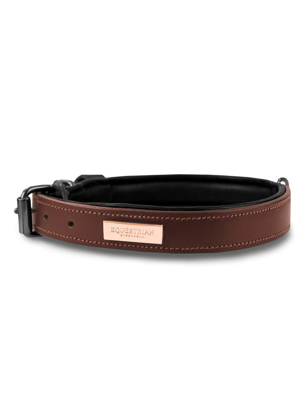 Dog Collar Clean Endless Glow