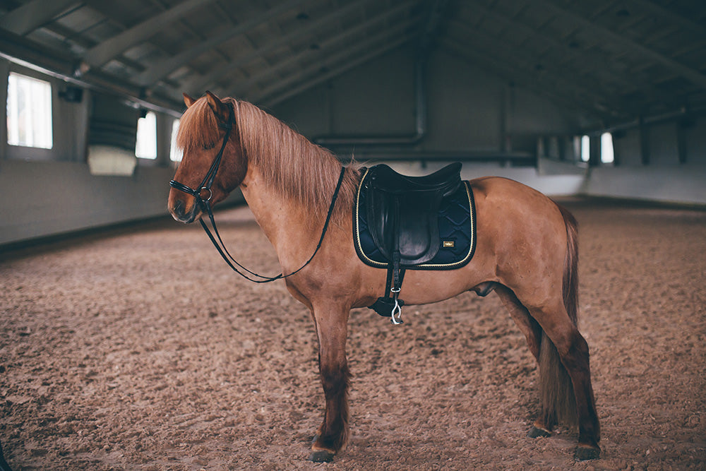 Dressage Saddle Pad Royal Classic Cob