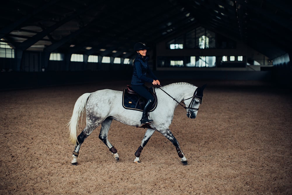 Jump Saddle Pad Royal Classic Full