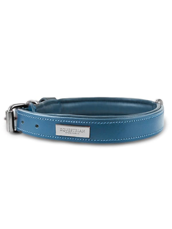 Dog Collar Clean Amalfi Coast