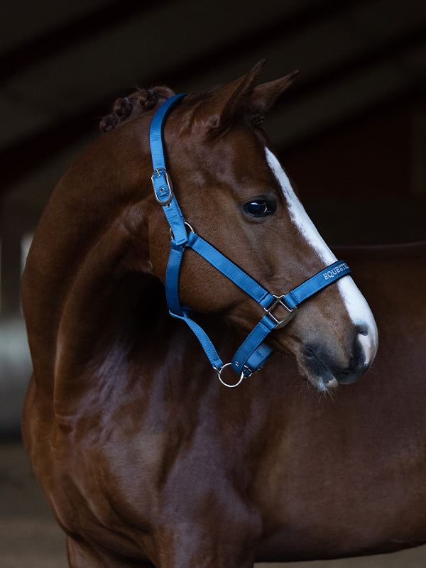 Explore Halter & Lead Rope Amalfi Coast vue 2