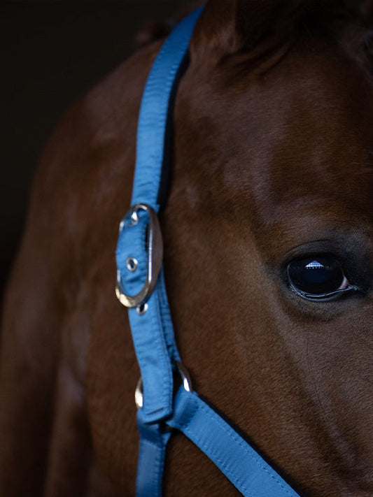 Explore Halter & Lead Rope Amalfi Coast