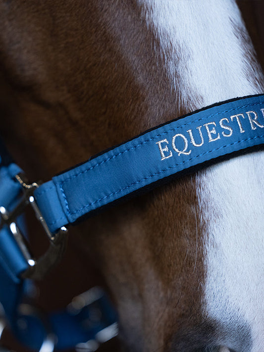 Explore Halter & Lead Rope Amalfi Coast
