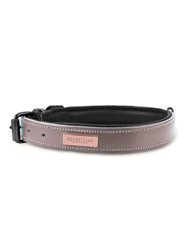 Dog Collar Clean Anemone