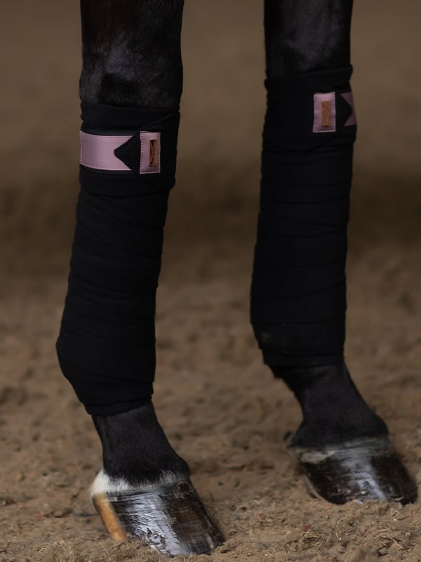 Polo Wraps Anemone