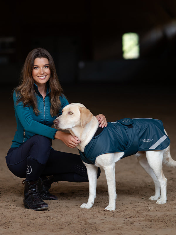 Weather Pro Dog Rug Aurora Blues vue 2