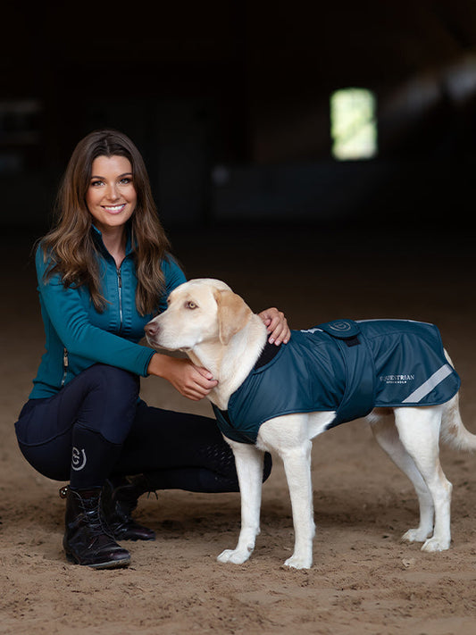 Weather Pro Dog Rug Aurora Blues