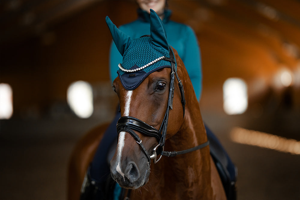 Ear Bonnet Aurora Blues vue 6