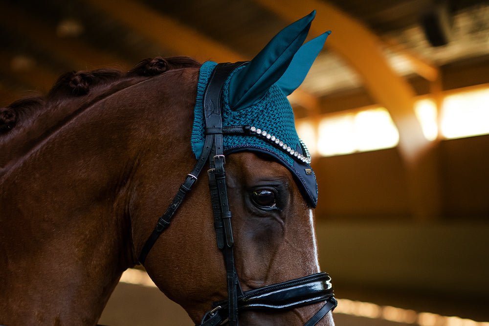 Ear Bonnet Aurora Blues