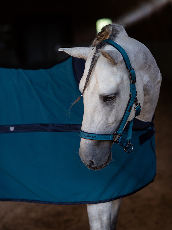 Fleece Blanket Aurora Blues