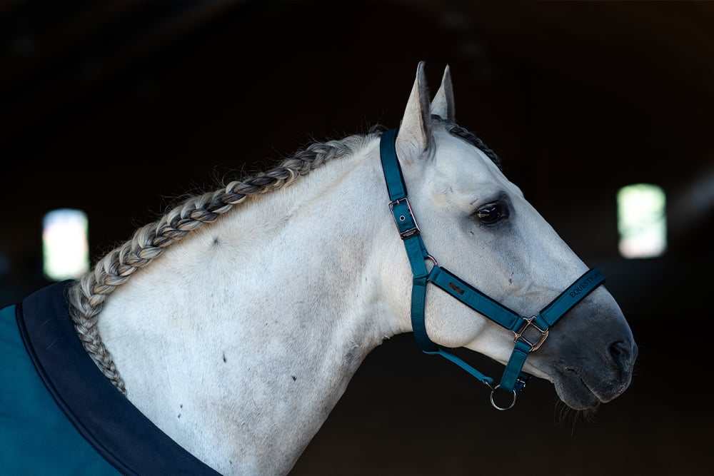 Halter & Lead Rope Aurora Blues vue 3