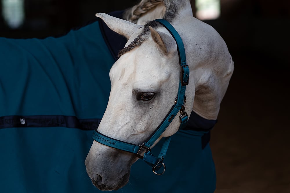 Halter & Lead Rope Aurora Blues vue 4