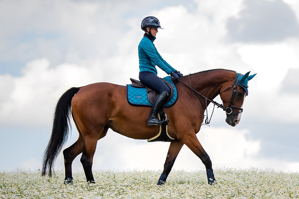 Jump Saddle Pad Aurora Blues Full vue 4