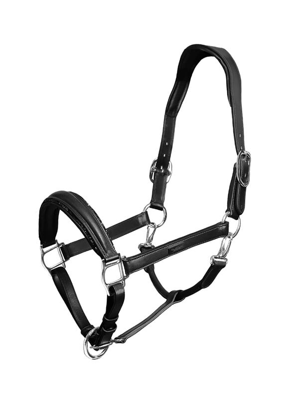 Anatomic Leather Halter Black Edition