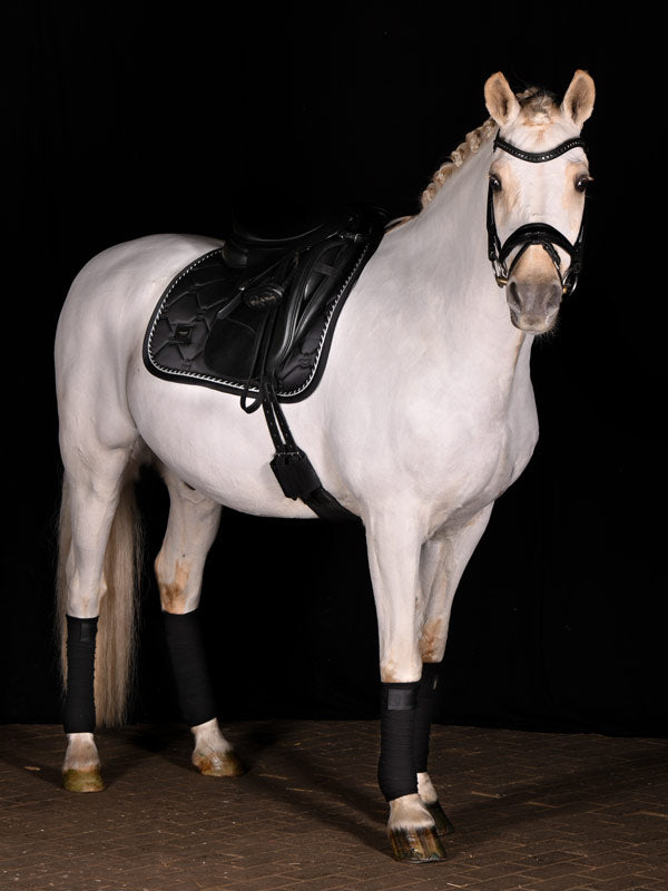Dressage Saddle Pad Black Edition Cob vue 2