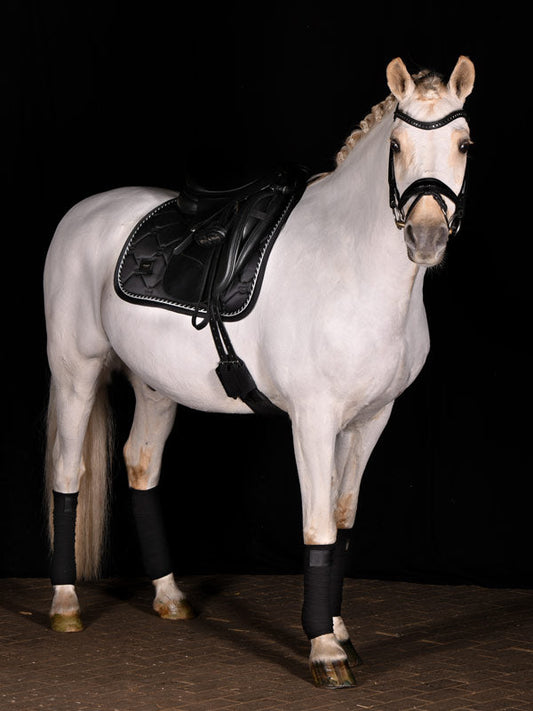 Dressage Saddle Pad Black Edition Cob
