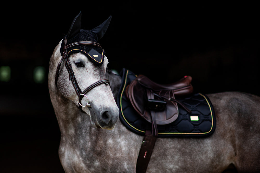 Jump Saddle Pad Black Gold Full
