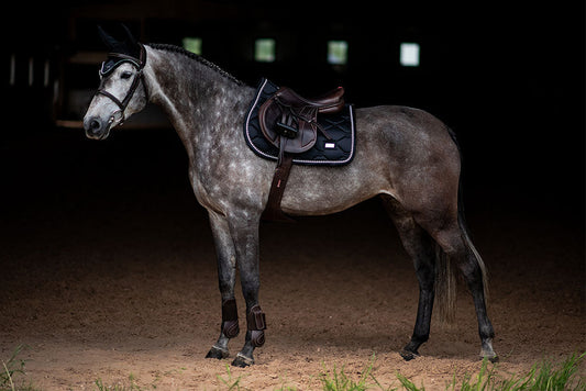 Jump Saddle Pad Black Edition Full