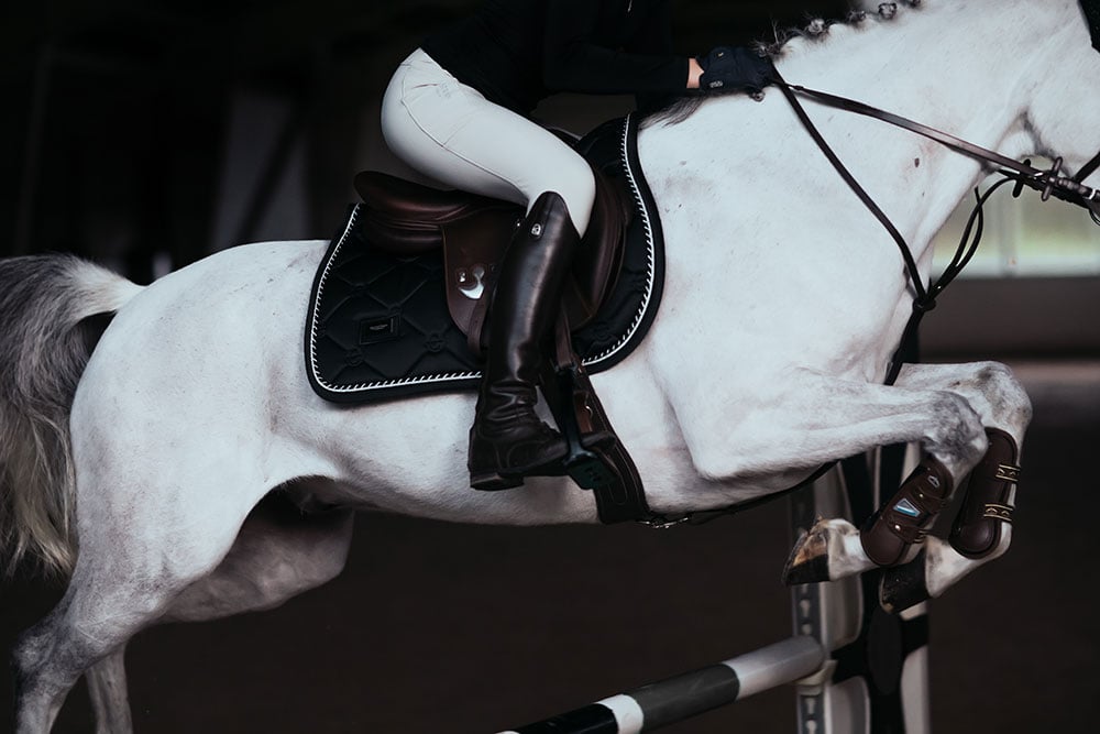 Jump Saddle Pad Black Edition Pony vue 4