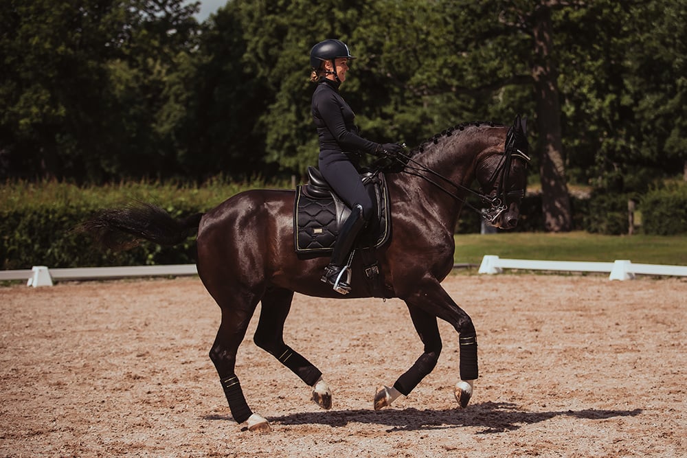 Dressage Saddle Pad Black Gold Full vue 3