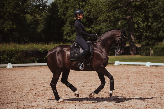 Dressage Saddle Pad Black Gold Full