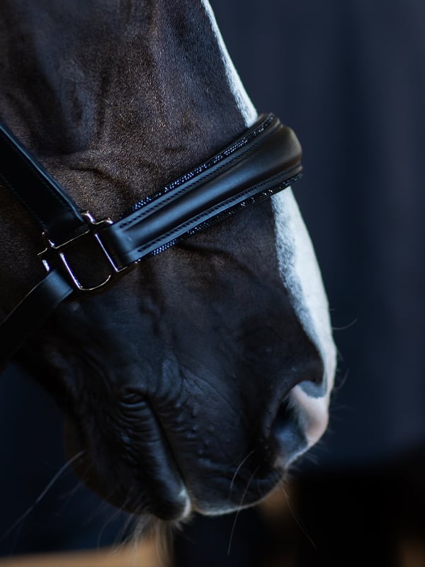 Anatomic Leather Halter Black Edition vue 3