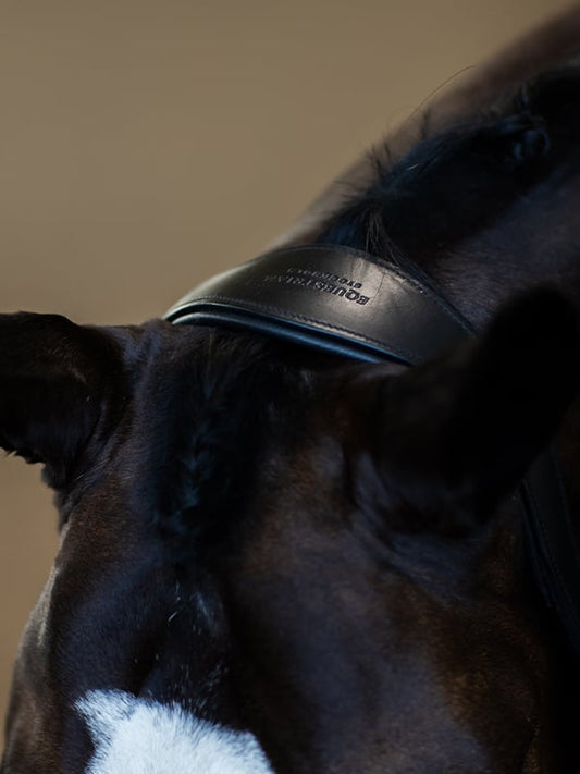 Anatomic Leather Halter Black Edition