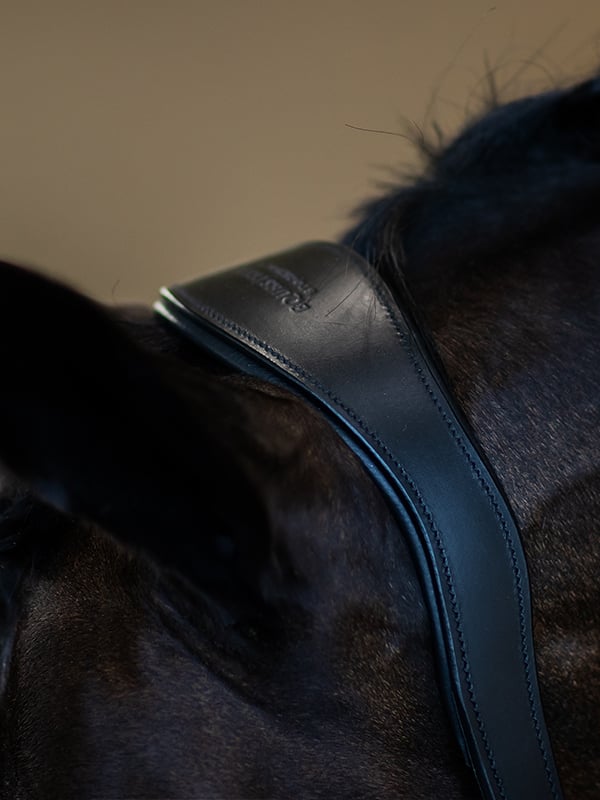 Anatomic Leather Halter Black Edition