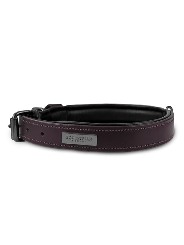 Dog Collar Clean Black Raven