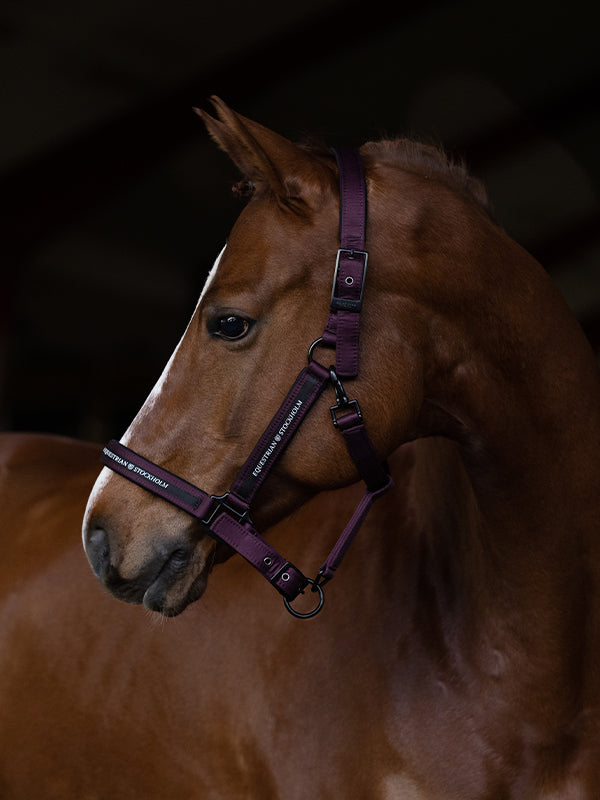 Clean Halter Black Raven vue 3