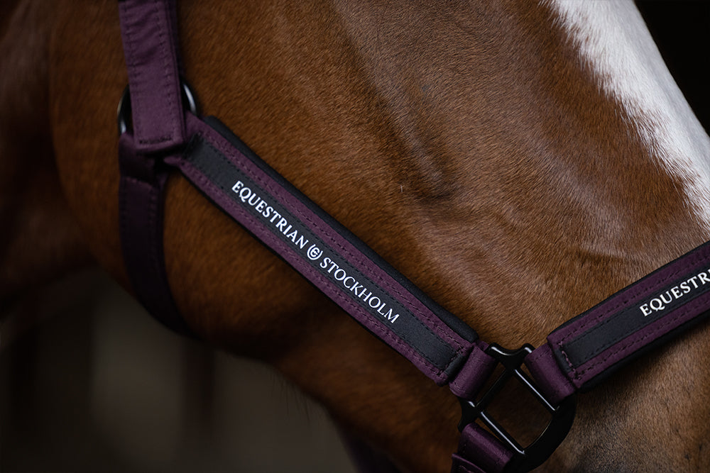 Clean Halter Black Raven vue 4