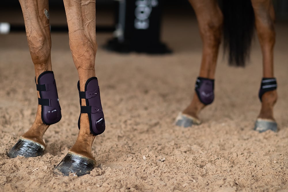 Anatomic Tendon Boots Black Raven vue 3