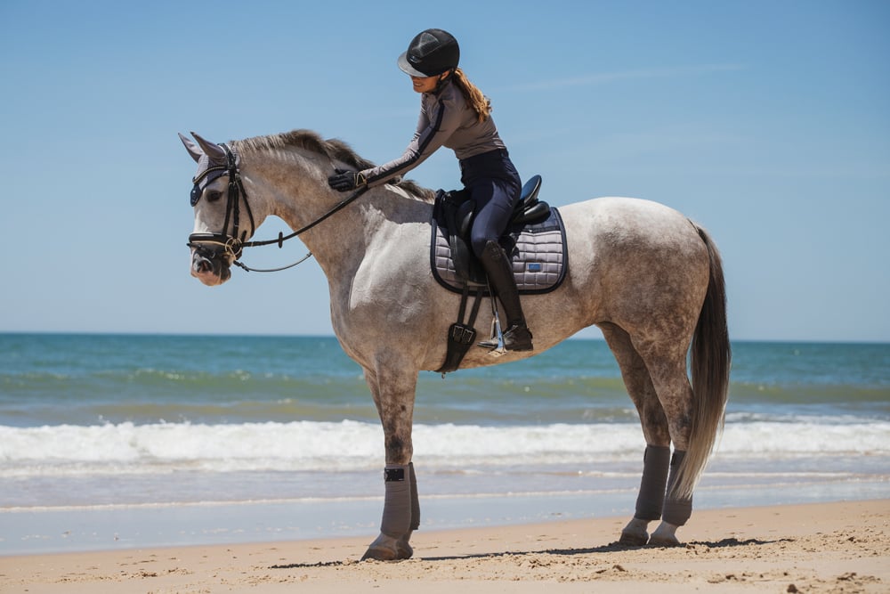 Dressage Saddle Pad Sportive Blue Ash Cob
