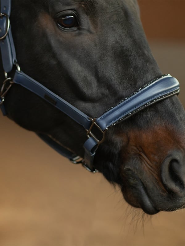 Anatomic Glimmer Leather Halter Dark Venice vue 3