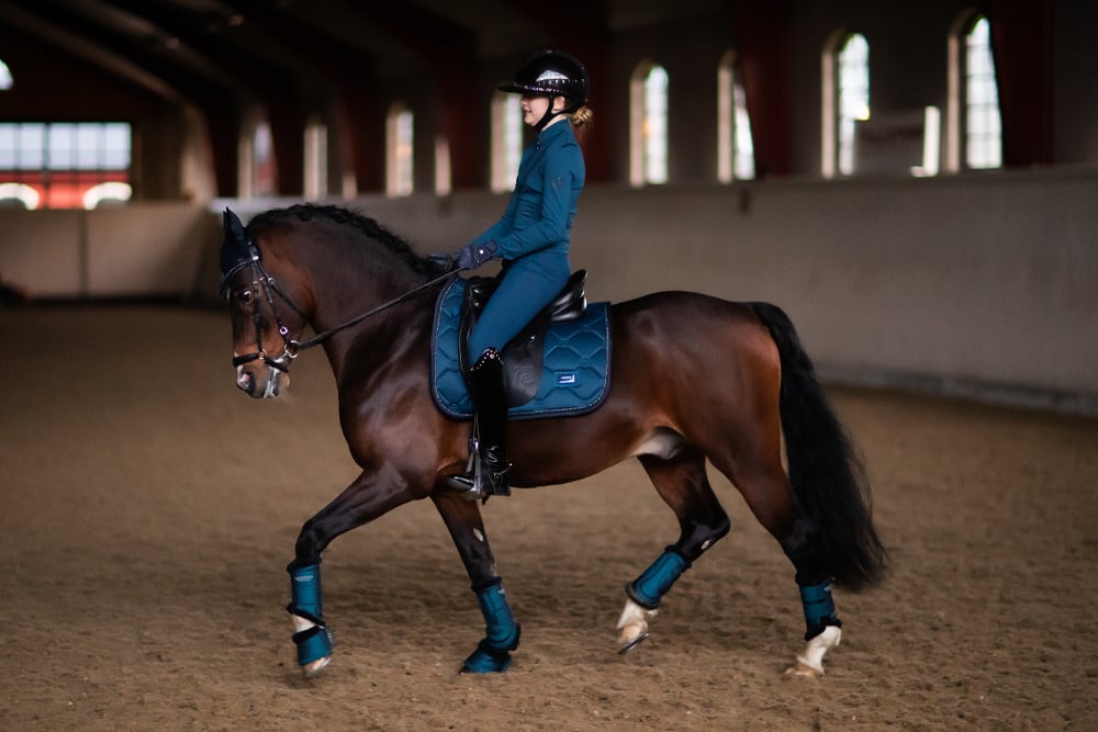 blue-meadow-dressage-saddle-pad-dressyrschabrak-dressurschabracke