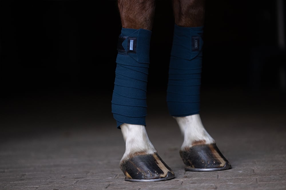 Polo Wraps Blue Meadow vue 4
