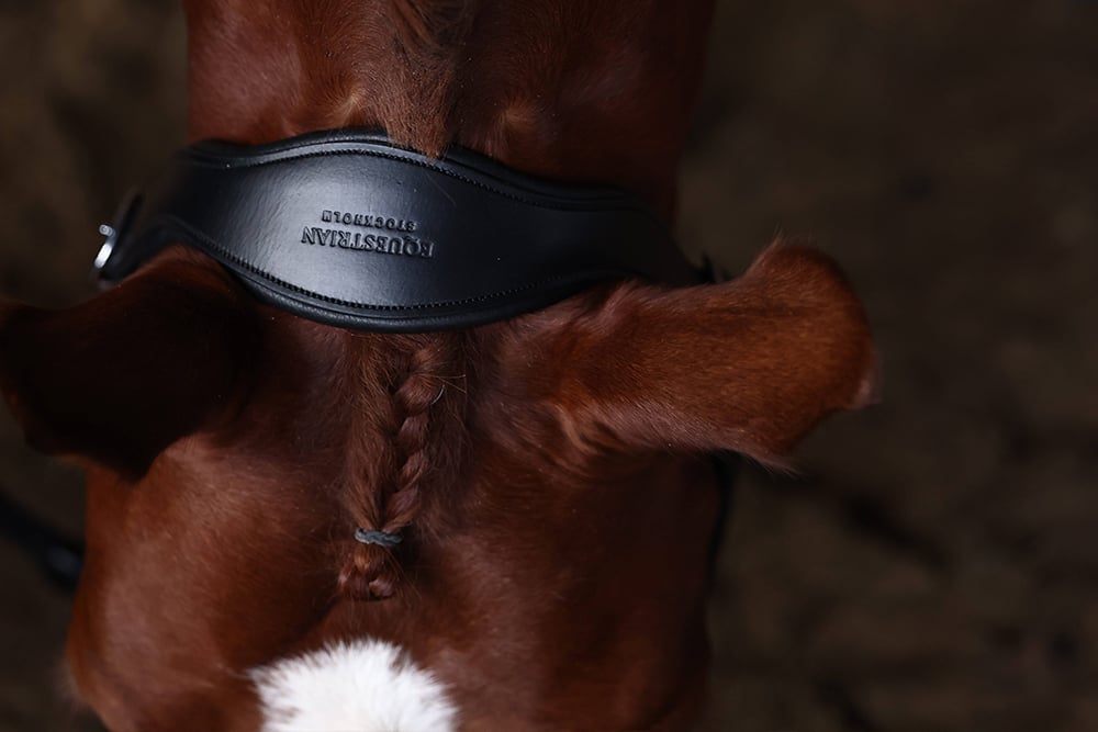 Anatomic Leather Halter Blue Meadow vue 3