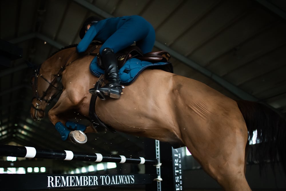 blue-meadow-jumping-saddle-pad-hoppschabrak-springschabrack-spring-zadeldekje-on1 vue 3